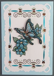 DIEREN --- Vlinder bij de blauwe bloemen