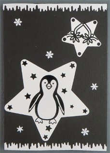 DIEREN --- Pinguin in een ster