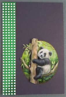 DIEREN --- Pandabeer in een boom