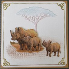 DIEREN --- Neushoorn met jonkies bij de boom