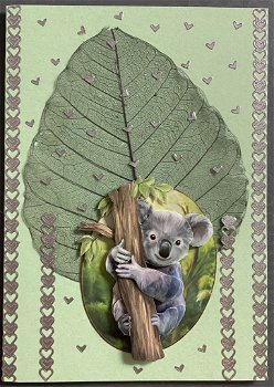 DIEREN --- Koala beer in een boom - 0