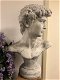 buste , tuinbeeld , buste david - 1 - Thumbnail