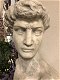 buste , tuinbeeld , buste david - 4 - Thumbnail