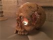 menselijk schedel , gietijzer , schedel - 0 - Thumbnail