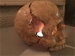 menselijk schedel , gietijzer , schedel - 2 - Thumbnail