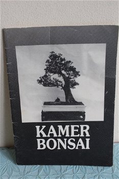 Kamer Bonsai - 0
