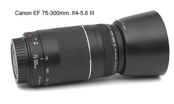 Canon EF 75-300mm f/4-5.6 III Lens - 0