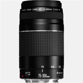 Canon EF 75-300mm f/4-5.6 III Lens - 1