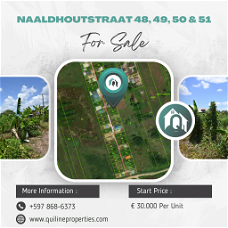 Naaldhoutstraat 48, Suriname