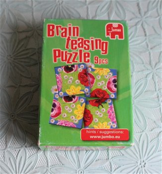 Brain Teasing Puzzle-Jumbo - bloemen - 0