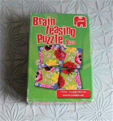 Brain Teasing Puzzle-Jumbo - bloemen