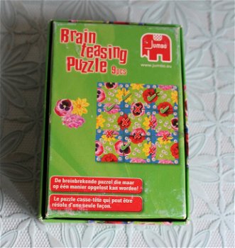 Brain Teasing Puzzle-Jumbo - bloemen - 1