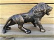 Leeuw , bronslook , beeld - 5 - Thumbnail