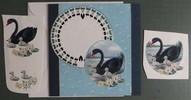 Zwanen - Zwarte zwaan met jonkies (rond kader) - 0