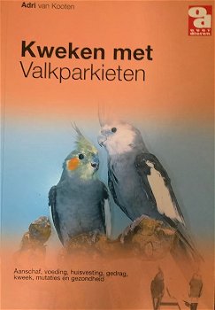 Kweken met valkparkiet - 0