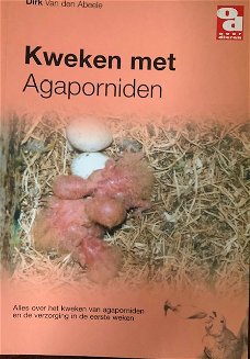 Kweken met Agaporniden, Dirk Van Den Abeele