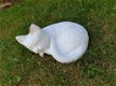 Lieve witte kleine kat ,poes - 2 - Thumbnail