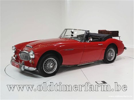 Austin Healey 3000 MK III BJ8 '67 CH0270 - 0