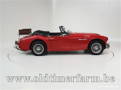 Austin Healey 3000 MK III BJ8 '67 CH0270 - 2