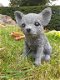 Tuinbeeld van hondje , Chihuahua , puppy - 0 - Thumbnail