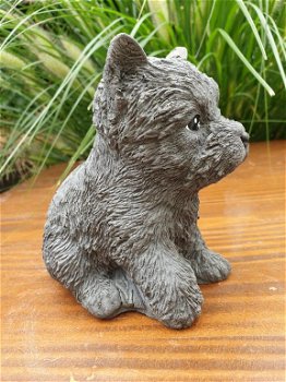 honden puppy , beeld van hond,kado - 4