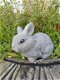 konijn,beeld van schattig klein konijntje - 2 - Thumbnail