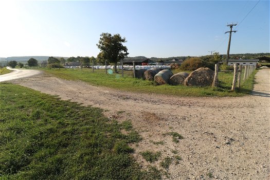 Szentjakabfa, Hongarije: Veeboerderij te koop - 0