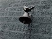 deurbel , muurbel met vogel - 4 - Thumbnail