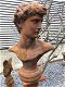Griekse Mythologie David , buste , hoofd - 0 - Thumbnail