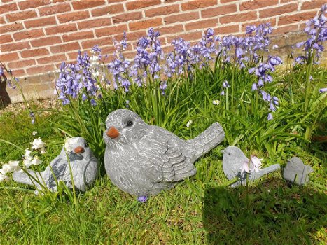 Grote mus , vogel , beton tuinbeeld - 1