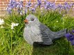 Grote mus , vogel , beton tuinbeeld - 2 - Thumbnail