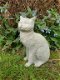 Grote stenen poes , kat , tuinbeeld - 2 - Thumbnail