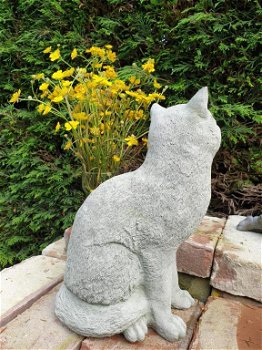 Grote stenen poes , kat , tuinbeeld - 4