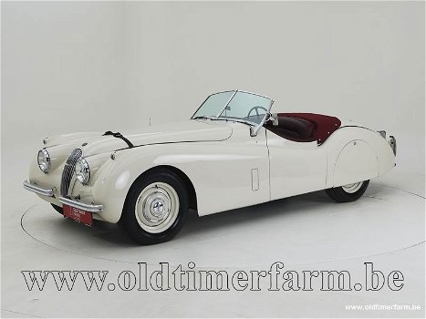 Jaguar XK 120 OTS '54 CH4762 - 0