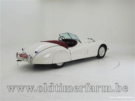 Jaguar XK 120 OTS '54 CH4762 - 1