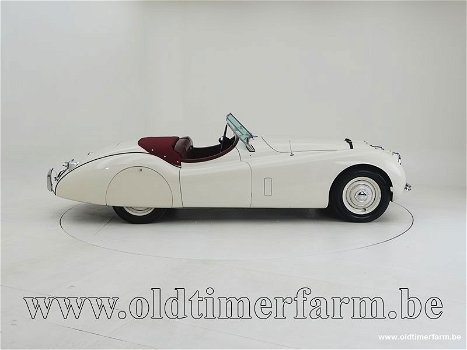 Jaguar XK 120 OTS '54 CH4762 - 2