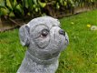 betonbeeld hond cas - 6 - Thumbnail
