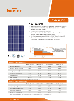 Zonnepanelen Boviet | BVM6610P-245 - 0