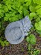 Baby poes , kat , tuinbeeld - 0 - Thumbnail