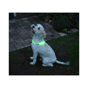 Led verlichtingsbuis voor de hond usb oplaadbaar - 3