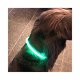 Led verlichtingsbuis voor de hond usb oplaadbaar - 5 - Thumbnail