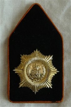 Kraagspiegel / Embleem DT63, Regiment Infanterie van Heutsz, Koninklijke Landmacht.(Nr.1)