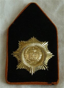 Kraagspiegel / Embleem DT63, Regiment Infanterie van Heutsz, Koninklijke Landmacht.(Nr.1) - 1