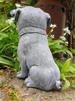 betonbeeld hond cas - 5