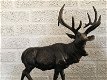 beeld van een staand damhert , hert , jacht - 2 - Thumbnail
