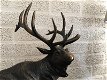 beeld van een staand damhert , hert , jacht - 6 - Thumbnail