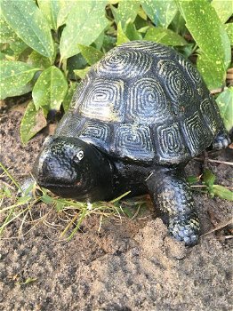 tuinbeeld Schildpad , schildpad , tuin - 2