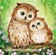 OPRUIMING FULL diamond painting owls Xl - 0 - Thumbnail