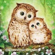 OPRUIMING FULL diamond painting owls Xl