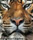 OPRUIMING FULL diamond painting tiger l - 0 - Thumbnail